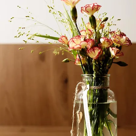 Appartamento Alpenstolz Haus 2 - Stilvoll Urlauben In Den Bergen