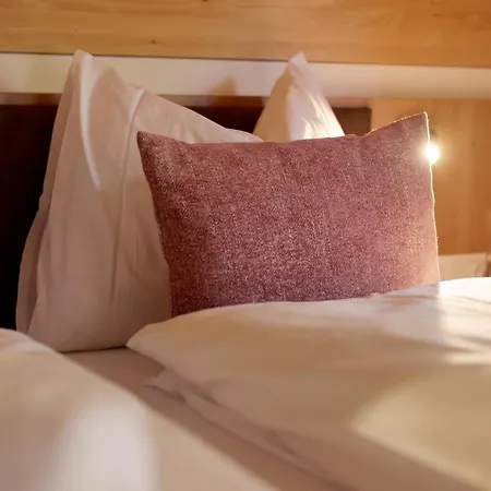 Apartment Alpenstolz Haus 2 - Stilvoll Urlauben In Den Bergen Damuels