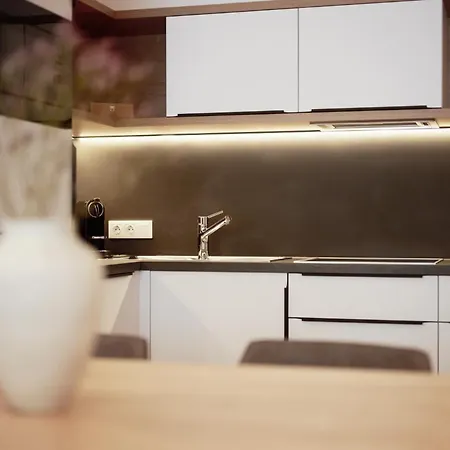 Apartment Alpenstolz Haus 2 - Stilvoll Urlauben In Den Bergen