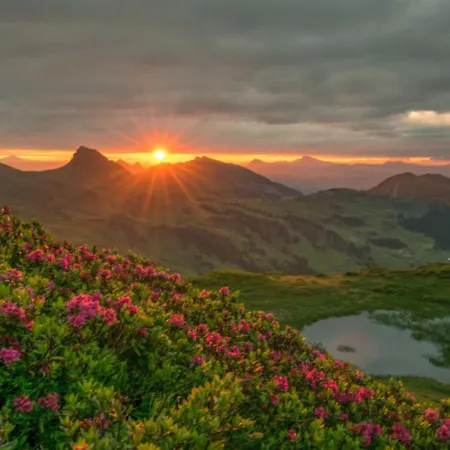 Appartamento Alpenstolz Haus 2 - Stilvoll Urlauben In Den Bergen *